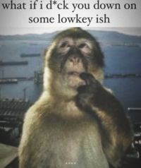 Instagram user @jasiah posted the Thinking Monkey meme in an Instagram slideshow, showing him alongside text that reads, "What if i d*ck you down on some lowkey ish." The post gathered over 20,000 likes in two years.