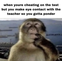 Redditor /u/senplayz602 posted a Thinking Monkey meme that read, "when youre cheating on the test but you make eye contact with the teacher so you gotta ponder."