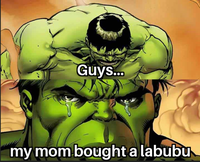 Guys... my mom bought a labubu