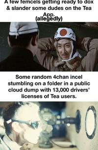 A few femcels getting ready to dox & slander some dudes on the Tea App. (allegedly) Some random 4chan incel stumbling on a folder in a public cloud dump with 13,000 drivers' licenses of Tea users.