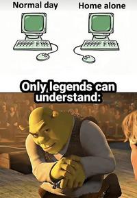 Normal day Home alone FFFFFFFFF Only legends can understand: