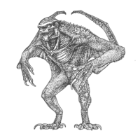 Still the best - 1973 - solomon