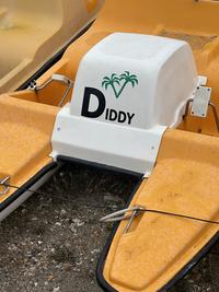 DIDDY IDDY Ο G
