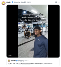 tippity @tippity July 28, 2025 • 0:04 When you leave your headphones at home and have to listen to gym music tippity @tippity. Jul 27 DONT TAP THE GLASSSSSSSS DONT TAP THE GLASSSSSSSS