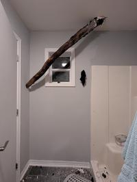A tree limb pierced the house