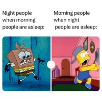 Night people when morning people are asleep: Morning people when night people are asleep: