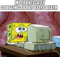 ME FRANTICALLY GOOGLING ABOUT OZZYS DEATH gfip.com