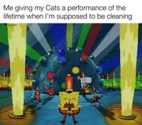 Me giving my Cats a performance of the lifetime when I'm supposed to be cleaning GASM? 93