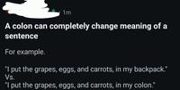 1m A colon can completely change meaning of a sentence For example. "I put the grapes, eggs, and carrots, in my backpack." Vs. "I put the grapes, eggs, and carrots, in my colon."