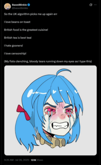 BasedBinkie @basedbinkie So the UK algorithm picks me up again err I love beans on toast British food is the greatest cuisine! British tea is best tea! I hate gooners! I love censorship! Q (My fists clenching, bloody tears running down my eyes as I type this) • 9:26 AM · Jul 28, 2025 101K Views
