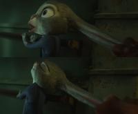 "Never grab a bunny's ears"