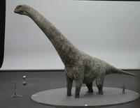 Alamosaurus