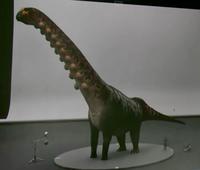 Dreadnoughtus 