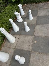 A mistake on the chess board