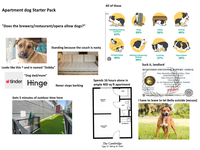 Apartment dog Starter Pack "Does the brewery/restaurant/opera allow dogs?" Standing because the couch is nasty Looks like this ^ and is named "Dobby" "Dog dad/mom" All of these Pinit Trembling/shaking/ ears back Clingy 59% Hiding 56% Panting 45% 63% Pacing/restless 44% Whining/whimpering/ barking 44% tinder Hinge Spends 16 hours alone in ample 400 sq ft apartment Never stops barking Gets 5 minutes of outdoor time here BEDROOM 12x11-6 CLOS. BATH о KITCHENETTE LIVING ROOM 12x10-6 The Cambridge Type "C" 400 sq. ft. Total Cowering 37% Hypervigilant 30% Suck it, landlord REGISTERED EMOTIONAL SUPPORT ANIMAL Joseph Vinci Authorized Agent okingServiceDog.com This Identification Certifies That JOSEPHINE C. KATZ Has Properly Registered THEODORE As An Emotional Support Animal On February 18, 2021 CERTIFICATE # 69145973 THIS ANIMAL IS PROTECTED UNDER FEDERAL LAW I have to leave to let Bella outside (excuse)