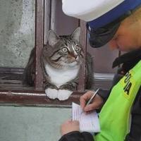 PO
