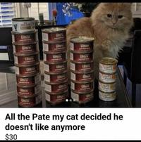 ROYAL CAMIN Ultra CHICKEN PATE Ultra CHICKEN PATE Ultra CHICKEN PATE Ultra CHICKEN PATE Ultra CHICKEN PATE Ultra CHICKEN PATE Ultra CHICKEN PATE Ultra CHICKEN PATE Ultra CHICKEN PATE Ultra OCKEN PATE Ultra CHICKEN PATE Ultra CHICKEN PAS Ultra CHICKEN PATE Ultra CHICKEN PATE Ultra OCKEN PATE Ultra CHICKEN FA Ultra CHICKEN FA Fancy Feast Fancy Feast Ultra CHICKEN PATE Fancy Feast Fancy Feast Ultra All the Pate my cat decided he doesn't like anymore $30