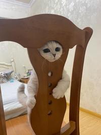 Hey there