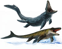 Jurassic world Mosasaurus comparison 