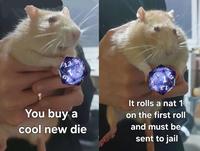 13 61 12 19 You buy a cool new die ετ It rolls a nat 1 on the first roll and must be sent to jail