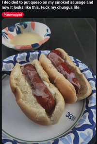 I decided to put queso on my smoked sausage and now it looks like this. F--- my chungus life Platemogged 88 DIXIE ULTRA
