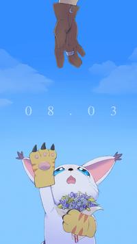 08.03