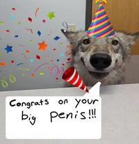 00 Congrats on your big penis!!!