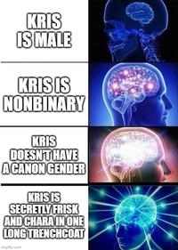KRIS IS MALE KRIS IS NONBINARY KRIS DOESN'T HAVE A CANON GENDER KRIS IS SECRETLY FRISK AND CHARA IN ONE LONG TRENCHCOAT imgflip.com