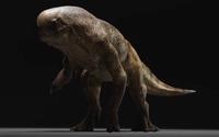 Distortus rex model