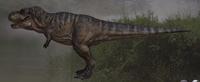 Tyrannosaurus rex