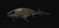 Mosasaurus