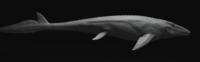 Jurassic world rebirth Mosasaurus CGI model