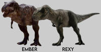 EMBER REXY