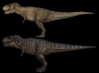 Rexy and Ember