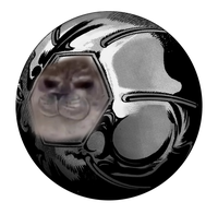 Seal Ball Run | /r/ShitPostCrusaders/