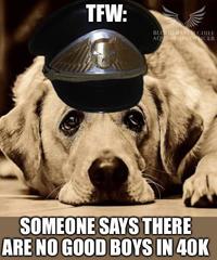 TFW: BLOOD RAVEN CHIEF AQUISITION OFFICER SOMEONE SAYS THERE ARE NO GOOD BOYS IN 40K