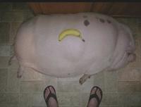 I bought this bana today | /r/okbuddyretard