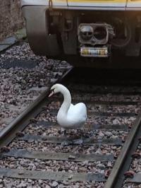 Train was delayed for half an hour