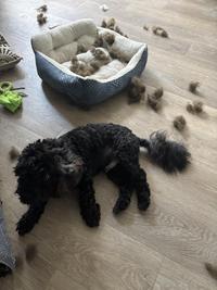 Who did that?