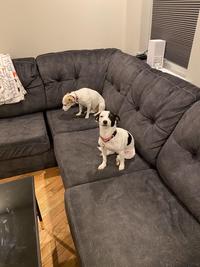 Who's more guilty?