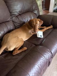A stolen wallet
