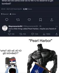 What did we Serbs ever do to NATO to deserve to get bombed? 23:14 - 06.11.23 from Earth 2,5M Views 1 Repost 4 Likes ☐ MayoneseJar84 @MayoneseJar84-8h Just a little thing called Pearl Harbor, maybe you heard of it? 139 "wHaT diD WE do to gEt bOmBeD?" 165 7,5K Il 168K "Pearl Harbor"