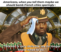 Americans, when you tell them maybe we should bomb French cities sparingly: tintin du_93 "This era is very delicate, we no longer bagala albatta know what to do." Coleta RECISTS
