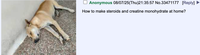 Anonymous 08/07/25(Thu)21:35:57 No.33471177 [Reply] How to make steroids and creatine monohydrate at home?