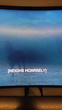 [NEIGHS HOARSELY]