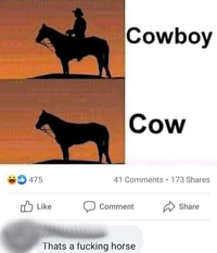 475 Cowboy Cow 41 Comments 173 Shares Like Comment D Share Thats a f------ horse