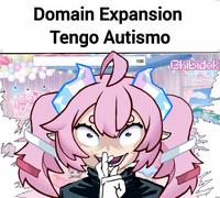 Ch Domain Expansion Tengo Autismo 100 Chibidok ORK Atvero Ramon