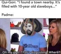 Qui-Gon: "I found a town nearby. It's filled with 10-year old slaveboys..." Padme: solid anark We RACING COLLECTIBLES Oh my god! That's disgusting. Where?