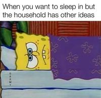 When you want to sleep in but the household has other ideas G CASMP ? * HE 25255