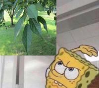 Got 'em